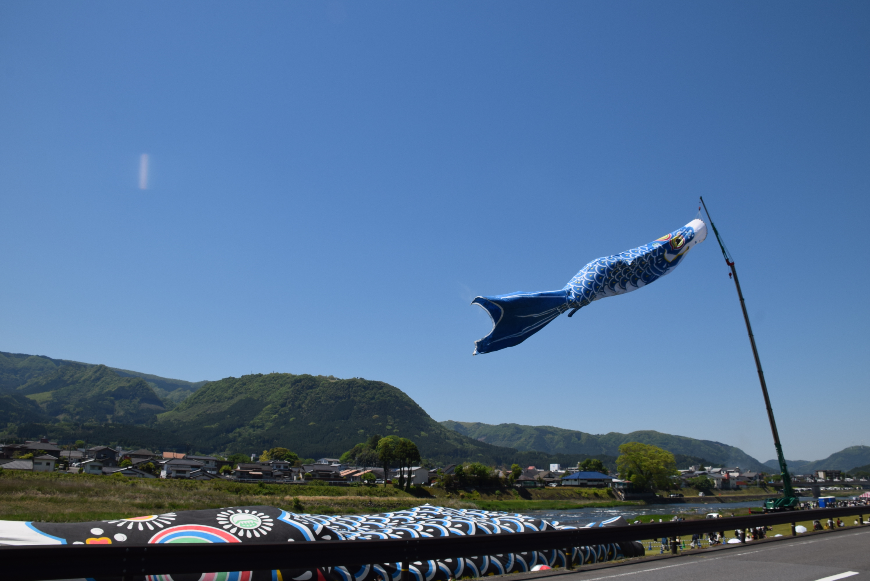 DSC_0375.JPG